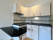 Pronájem bytu 1+kk, Ostrava - Slezská Ostrava, Bohumínská, 27 m2