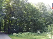 Prodej lesa, Hrabyně, 2404 m2