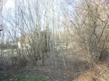 Prodej pozemku, Hamr na Jezeře, 471 m2