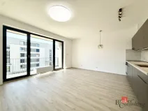 Pronájem bytu 1+kk, Plzeň - Jižní Předměstí, Železná, 42 m2