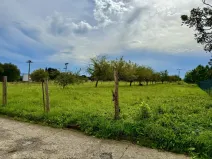 Prodej pozemku pro bydlení, Dřevohostice, Náměstí, 1306 m2