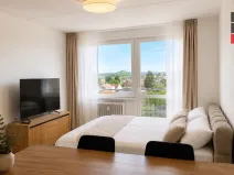 Pronájem bytu 1+kk, Pardubice - Ohrazenice, Trnovská, 33 m2