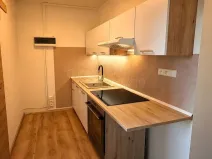 Pronájem bytu 2+1, Karlovy Vary, Svobodova, 34 m2