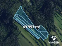 Prodej podílu lesa, Kuřimská Nová Ves, 25162 m2