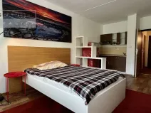 Pronájem bytu 1+kk, Praha - Modřany, Platónova, 29 m2
