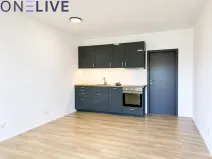 Pronájem bytu 1+kk, Zbůch, 29 m2