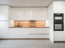 Prodej bytu 1+1, Brno, Cejl, 50 m2