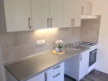 Pronájem bytu 1+1, Ostrava - Zábřeh, Průkopnická, 40 m2