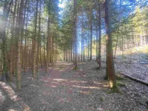 Prodej pole, Železná Ruda - Špičák, 1644 m2