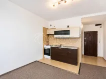 Prodej bytu 1+kk, Tábor, Petrohradská, 19 m2