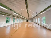 Pronájem skladu, Strážnice, Veselská, 510 m2