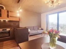 Pronájem bytu 2+kk, Brno, V rejích, 49 m2