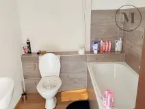 Pronájem bytu 1+kk, Netolice, Mírové Náměstí, 21 m2