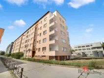 Prodej bytu 1+kk, Brno - Staré Brno, Náplavka, 15 m2