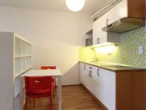 Pronájem bytu 1+kk, Praha - Vysočany, Podkovářská, 31 m2