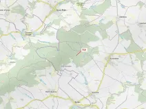 Dražba lesa, Knínice, 2059 m2