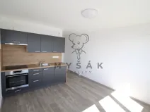 Pronájem bytu 1+kk, České Budějovice - České Budějovice 3, U Trojice, 21 m2
