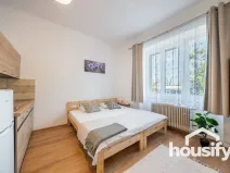 Pronájem bytu 1+kk, Znojmo, Vídeňská třída, 18 m2