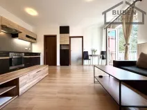 Prodej bytu 2+kk, Tachov, Na Třešňovce, 38 m2