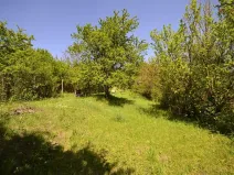 Prodej zahrady, Hostěrádky-Rešov, 705 m2