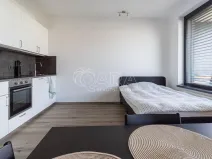Pronájem bytu 1+kk, Praha - Žižkov, Olgy Havlové, 33 m2