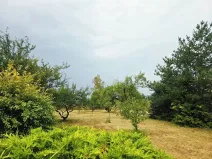 Prodej pozemku pro bydlení, Ronov nad Doubravou, Lichnická, 750 m2