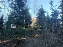 Prodej lesa, Čáslavsko, 3140 m2