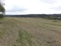 Dražba pole, Tachov, 842 m2