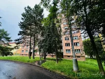 Prodej bytu 2+1, Chomutov, Kamenná, 59 m2