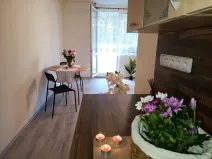 Pronájem bytu 2+kk, Brno, Oderská, 67 m2