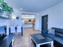 Pronájem bytu 2+kk, Plzeň, U Borských kasáren, 52 m2