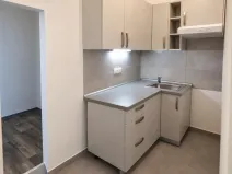 Prodej bytu 2+kk, Ostrava - Hrabůvka, Dr. Martínka, 36 m2