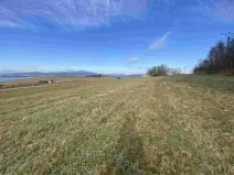 Dražba louky, Černá v Pošumaví, 2972 m2
