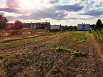 Prodej pozemku pro bydlení, Lanžhot, Školní, 491 m2