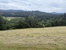 Prodej louky, Hamry, 84928 m2