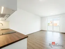 Pronájem bytu 1+kk, Olomouc - Nová Ulice, Třída Jiřího Pelikána, 39 m2