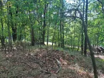 Prodej lesa, Nový Jičín, 1324 m2