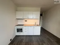 Pronájem bytu 1+1, Most, Marš. Rybalka, 35 m2