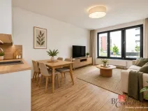 Pronájem bytu 1+kk, Plzeň - Jižní Předměstí, Železná, 30 m2