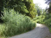 Prodej pozemku, Chodský Újezd - Nahý Újezdec, 1046 m2