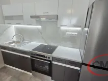 Pronájem bytu 2+kk, Praha, Štúrova, 42 m2