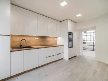 Prodej bytu 1+1, Brno, Cejl, 50 m2