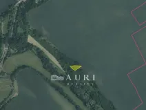 Prodej lesa, Peruc, 910 m2