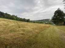 Prodej louky, Brumovice - Úblo, 1160 m2