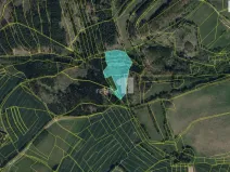 Prodej pole, Koberovice - Lohenice, 33584 m2