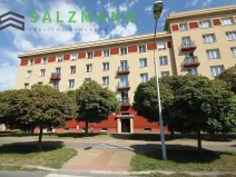 Prodej skladu, Plzeň, Francouzská třída, 39 m2
