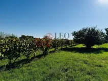 Prodej zahrady, Týnec, Náves, 1237 m2