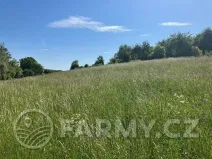 Prodej louky, Kouřim, 12974 m2