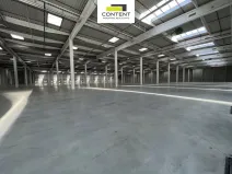 Pronájem skladu, Ostrava - Vítkovice, 15000 m2