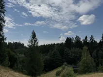 Prodej lesa, Jedlí, 10342 m2